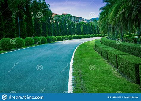 Trimmed Bushes And Lawn Alongside The Road In Park Landscape Design