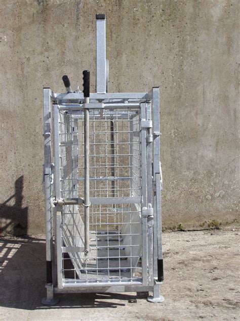 Sheep Squeeze Chute Mobile With Weighing System Sheep Weighing