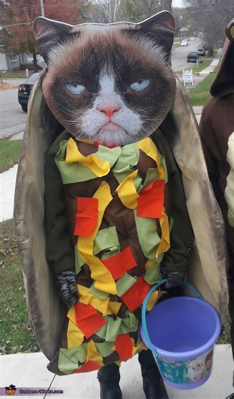 Taco Cat Farting Out Rainbows Costume