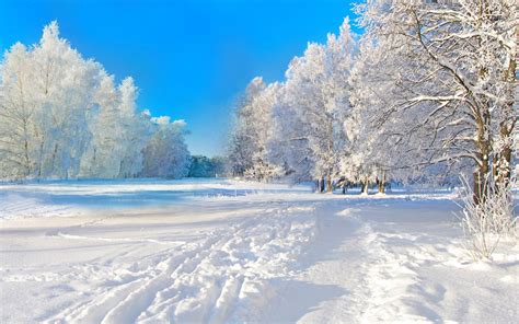 Hình Nền Máy Tính Phong Cảnh Mùa đông đẹp Nhất Thế Giới