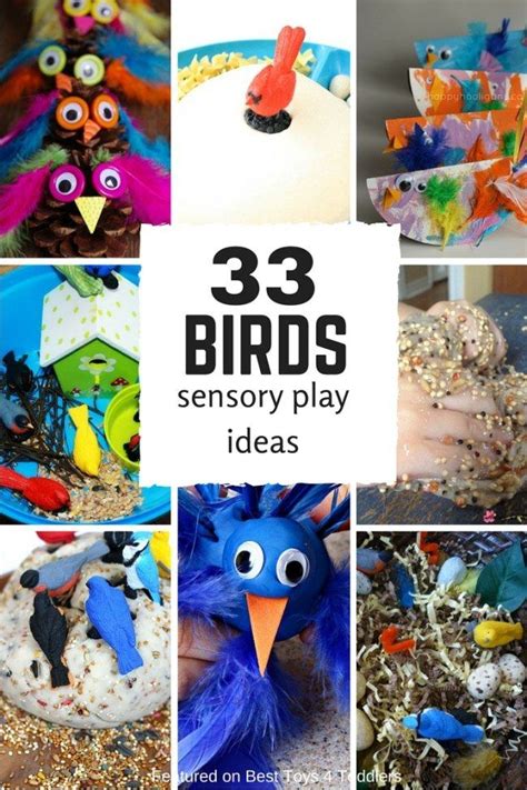 33 Bird Sensory Play Ideas For Kids Sensory Activities Toddlers