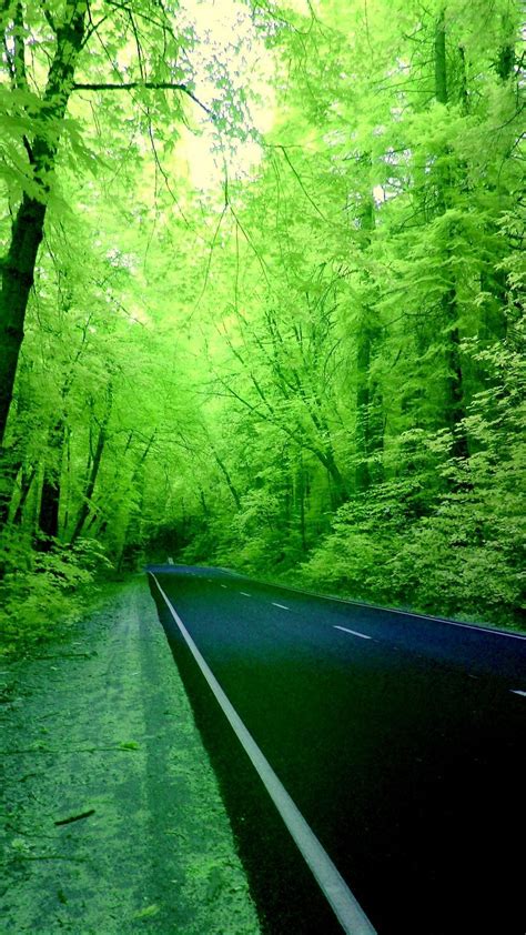 Iphone 7 Wallpaper Nature Green With Image Resolution Iphone 3d