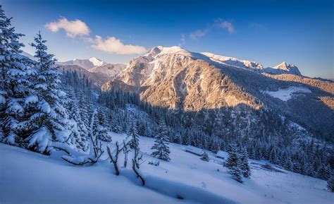 Wallpaper Trees Landscape Forest Sunset Nature Snow Winter