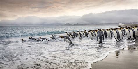 53 Stunning Photos From The Nature Conservancy Global Photo Contests