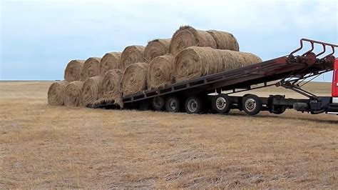 World Amazing Hay Bale Handling Technology Modern Agriculture Heavy