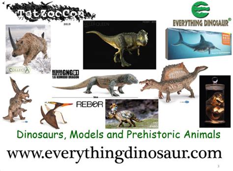 October 14 2019 Everything Dinosaur Blog