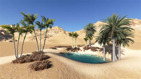 Desert Oasis Wallpapers Top Free Desert Oasis Backgrounds