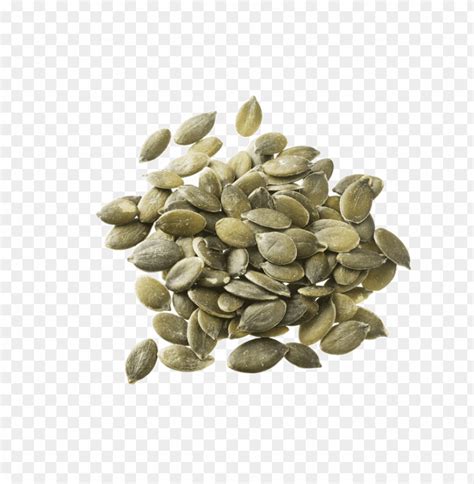 Sunflower Seed Png Png Transparent With Clear Background Id Toppng