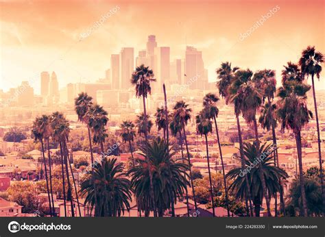 Beautiful Sunset Palm Trees Los Angeles California Stock Photo By