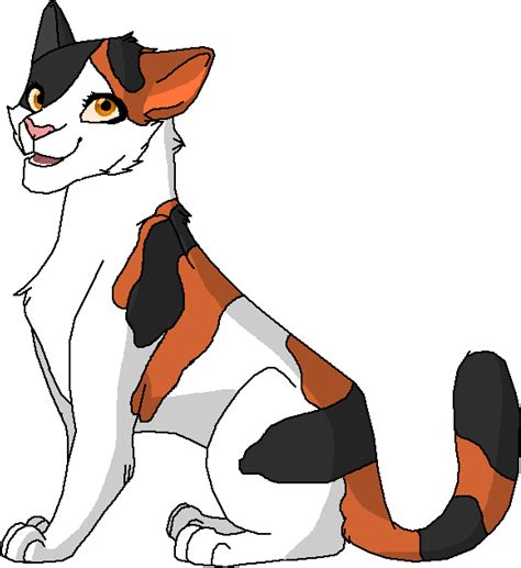 Free Calico Png Images With Transparent Backgrounds