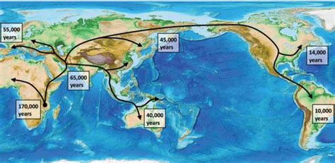 Scientists Use Genetics And Climate Reconstructions To Track The Global