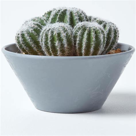 Artificial Succulent Plant Cactuscacti In Decorative Pot For Home