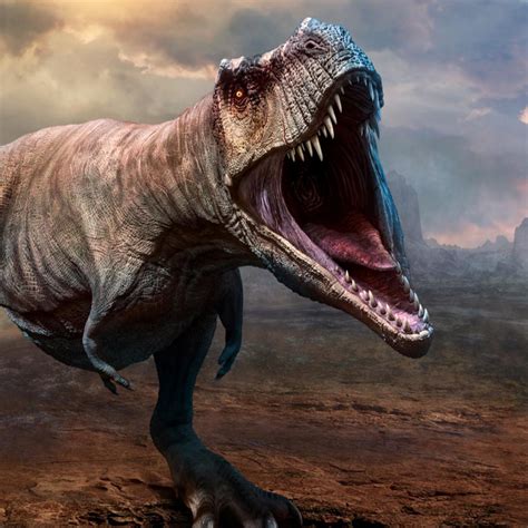 How Do We Know What Color Dinosaurs Were Latest Science News And