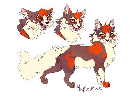 Mapleshade By Meow286 On Deviantart