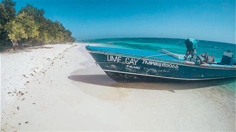 How To Visit Lime Cay In Jamaica With Local Tips The Dharma Trails