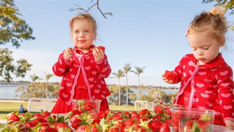 Delight The Senses With This Berry Impressive Strawberry Festival That