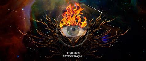 Mystic Tree Of Life And Burning Eye Of God Stocktrek Images