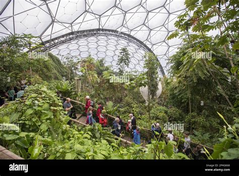 Tourists Inside Humid Rainforest Biome Rainforest Biome Eden Project