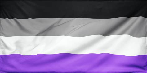 Asexual Pride Flag Asexuality Pride Symbol Lgbt Pride Month Etsy