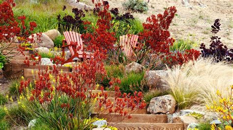 Dozens Of Water Wise Plants That Go Way Beyond Succulents Sunset