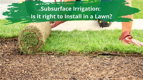 Subsurface Irrigation Is It Right To Install In A Lawn Southland Sod Farms