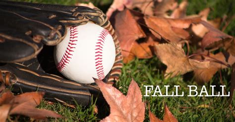 reasons to play or not to play fall baseball southbat baseball wood bats — southbat best wood bats