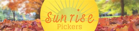 Sunrise Pickers Ebay Stores