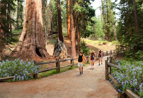 The Best National Parks In Southern California 7 Best Parks