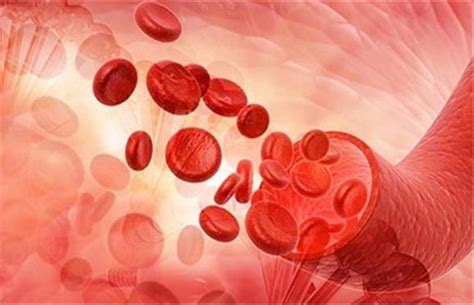 علائم و راه تشخیص کم خونی