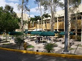 Universidad Central Del Caribe - Unigo.com