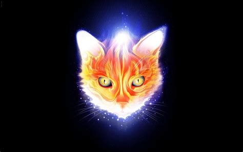 Kindle Fire Cat Wallpapers Top Free Kindle Fire Cat Backgrounds