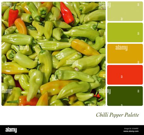 A Background Of Red And Green Chilli Peppers In A Colour Palette With