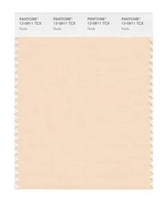 Amazon Com Pantone Smart X Color Swatch Card Nude Home