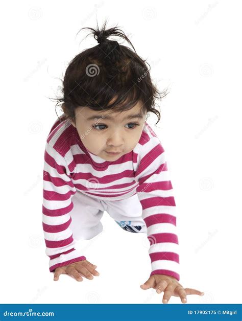 Portrait Of A Cute Baby Girl Crawling Isolated W Stock Image Image