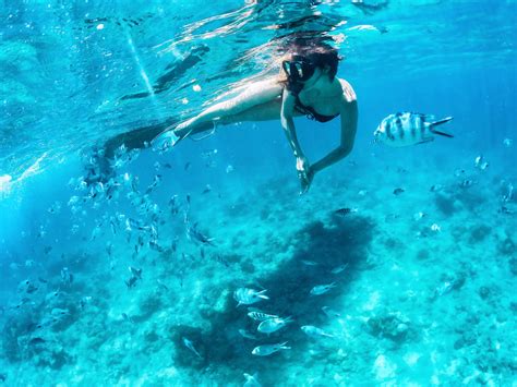 Best Places In The World To Snorkel American Oceans