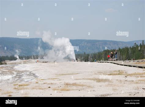 Geysers Of Yellowstone Stock Photo Alamy