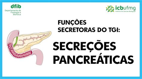 Células Secretoras Do Pâncreas