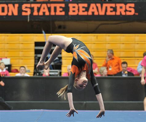 Open gym just means the gym is open like a public pool: Gymnastics | OSU KidSpirit | Oregon State University