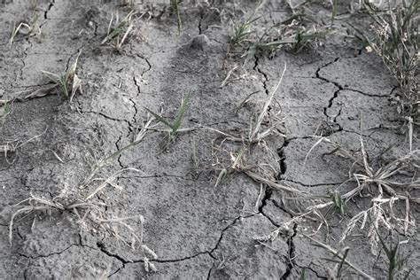 Arid Land Cracked By Drought Lack Of Precipitation Stock Image Image