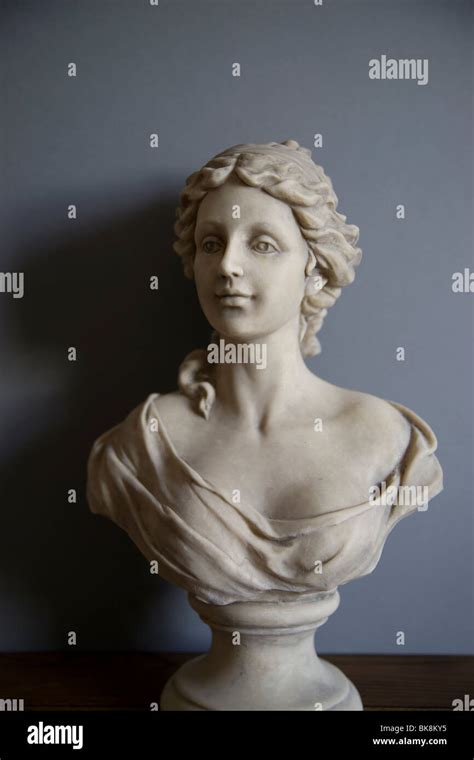 Classical Bust Stock Photo Alamy