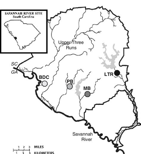 Map Of The Savannah River Site Bdc Beaver Dam Creek Ltr Lower Three