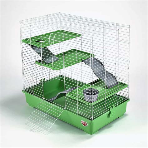 Guide Dachat Des Cages De Rat Tests Avis Comparatif En Janvier 2024