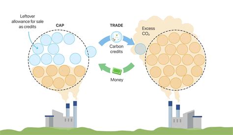 What Is A Carbon Credit
