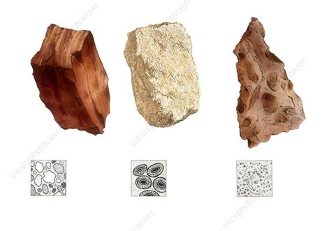 Sandstone Limestone And Mudstone Illustration Stock Image C037