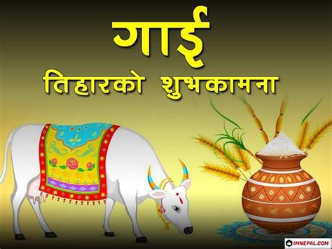 Happy Gai Tihar Cow Puja Nepal Greetings Cards Image Wallpapers
