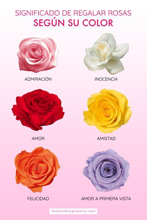 Cual Es El Significado Del Color De Las Rosas Significado De Los