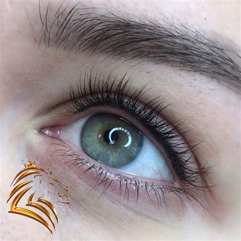 Lash Enhancement Tattoo Sydney Elane Bivens