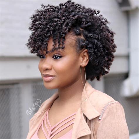 Dlang33 Natural African American Hairstyles Natural Hair Twists Short Natural Hair Styles