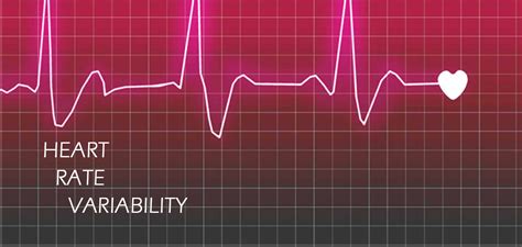 Heart Rate Variability Bioenergydoc