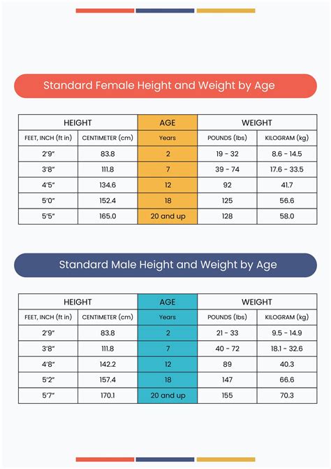 Free Height And Weight Conversion Chart Template Download In Excel